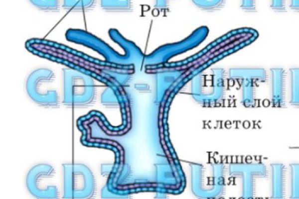 Кракен пишет пользователь не найден